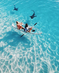 Meet your Posher, Sofia